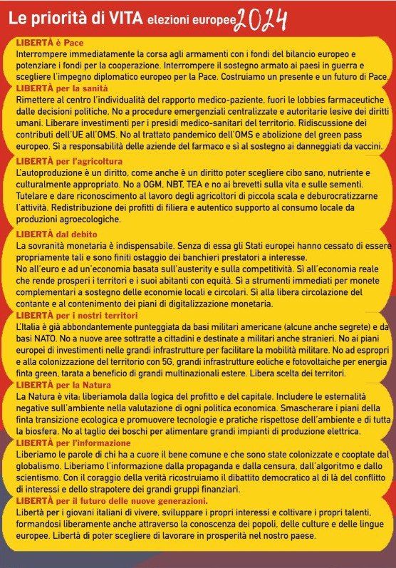 Le priorità di VITA alle Europee24