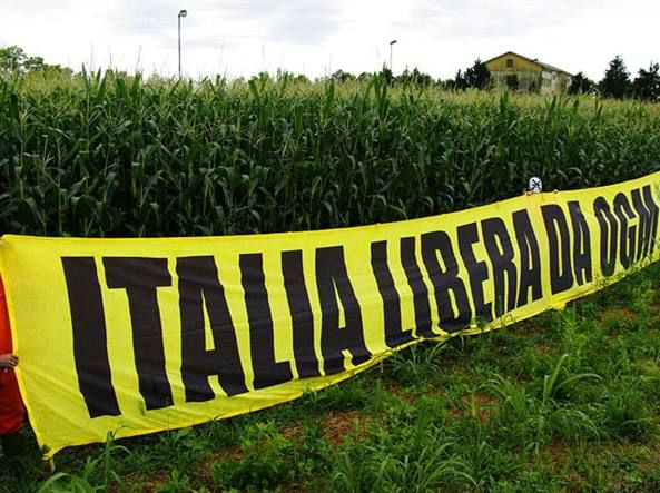 Si spalancano le dispense degli italiani al cibo OGM Domani voto di fiducia alla Camera al Ddl Siccità: monitoriamo da vicino dichiarazioni e voti